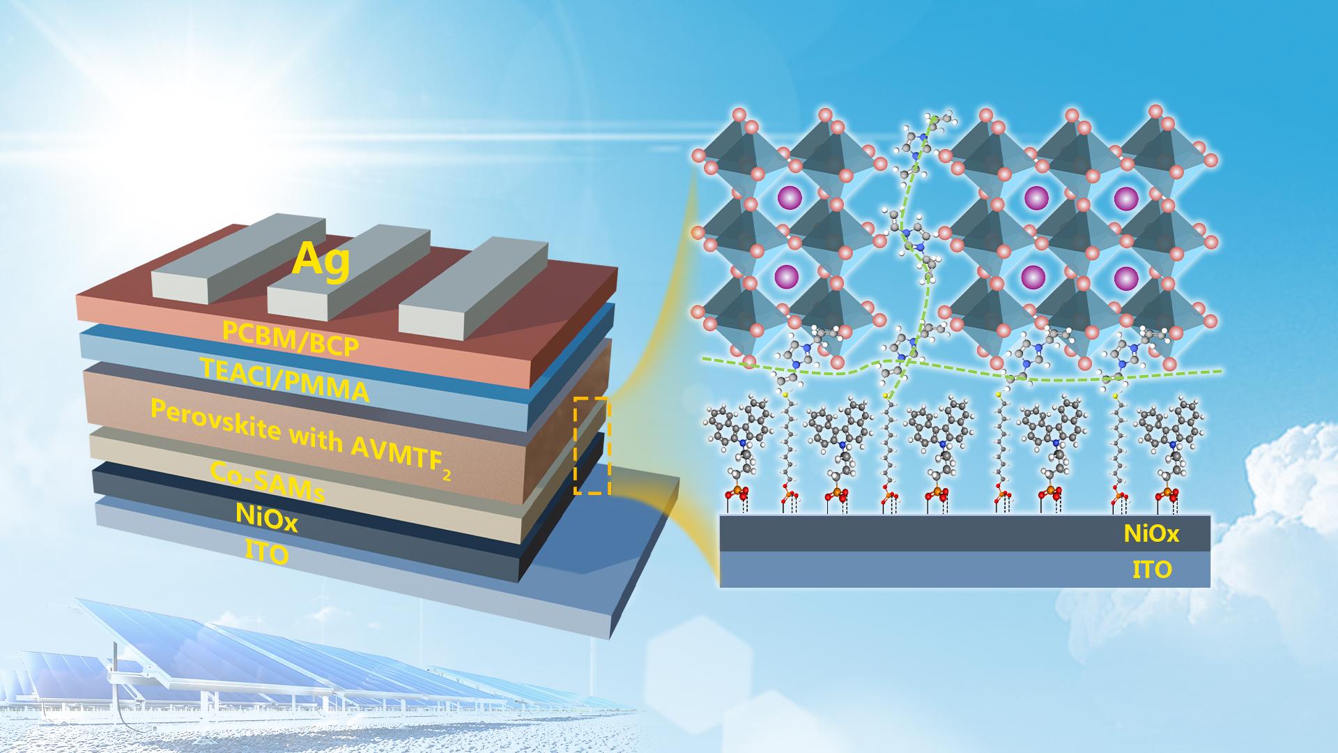南科大电子系Aung Ko Ko Kyaw课题组在钙钛矿太阳能电池效率和稳定性研究方面取得进展